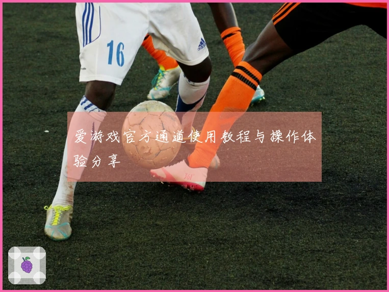 爱游戏官方通道使用教程与操作体验分享