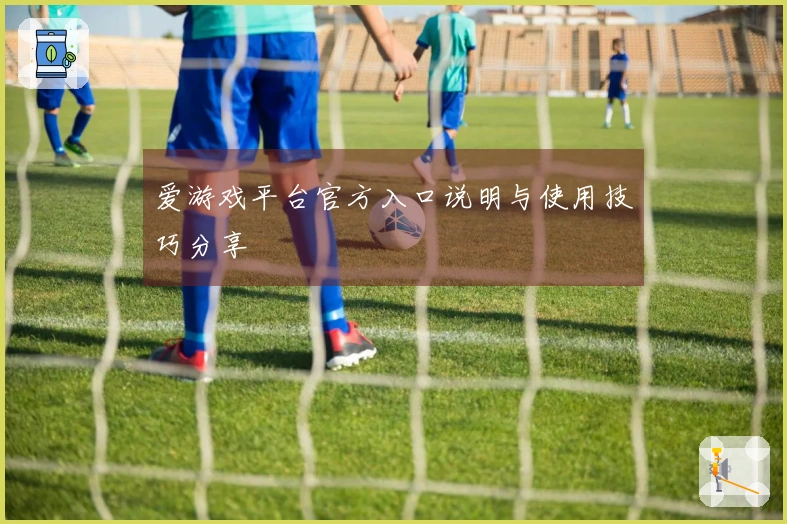 爱游戏平台官方入口说明与使用技巧分享