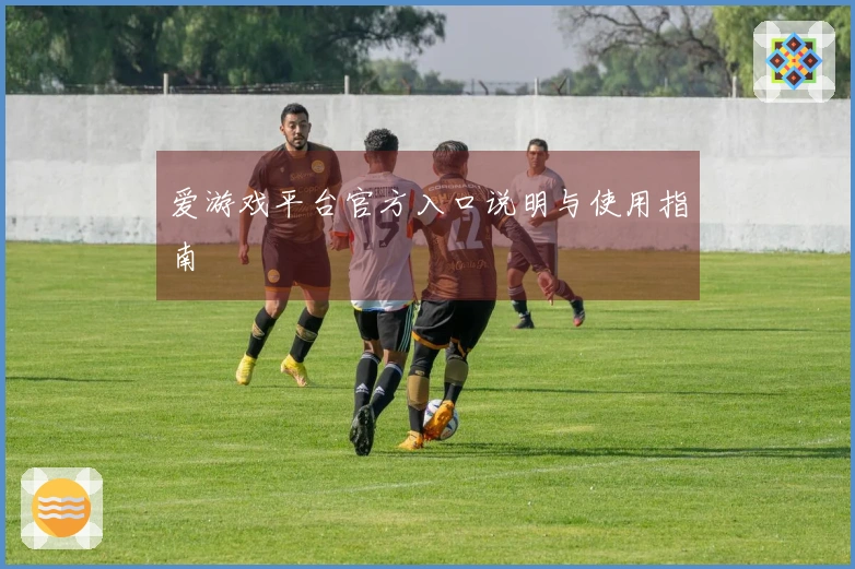 爱游戏平台官方入口说明与使用指南