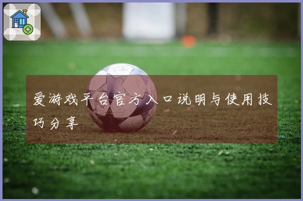 爱游戏平台官方入口说明与使用技巧分享